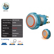 Orange DPDT Maintained