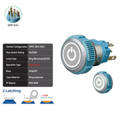 White DPDT Maintained