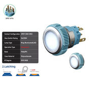 White DPDT Maintained