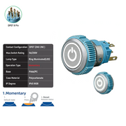 White DPDT Momentary