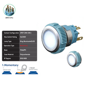 White DPDT Momentary