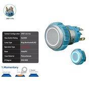 White SPDT Momentary