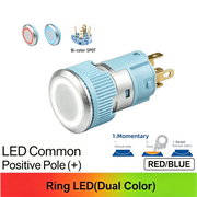 RB Momentary common anode (+)