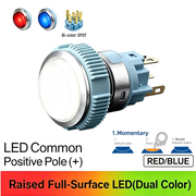 RB Momentary common anode (+)
