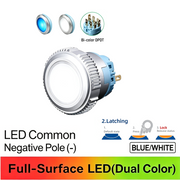 BW DPDT Maintained common cathode (-)