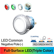 RGW DPDT Maintained common cathode (-)