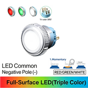 RGW SPDT Momentary common cathode (-)