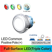 RGY SPDT Maintained common anode (+)