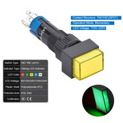 Green  Momentary 110V~220V