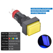 Blue  Momentary 110V~220V