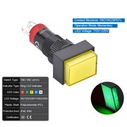 Green  Momentary 110V~220V