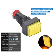 Orange  Momentary 110V~220V