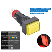 Red  Momentary 12V~24V