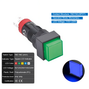 Blue  Momentary 110V~220V