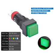 Green  Momentary 110V~220V