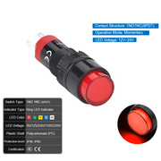 Red  Momentary 12V~24V