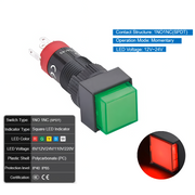 Red  Momentary 12V~24V