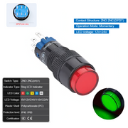 Green  Momentary DPDT 12V~24V