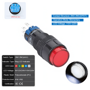 White Momentary DPDT 110V~220V