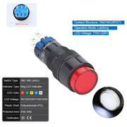 White Latching SPDT 110V~220V