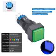 Blue  Momentary DPDT 12V~24V