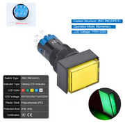 Green  Momentary DPDT 110V~220V