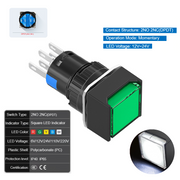 White Momentary DPDT 12V~24V