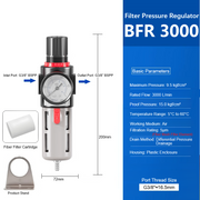 BFR 3000  P F G3/8