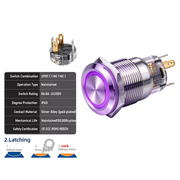 Purple SPDT Latching