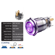 Purple SPDT Latching