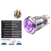 Purple DPDT Momentary