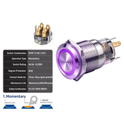 Purple DPDT Momentary
