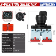 2 Positon Return 4NC 16A