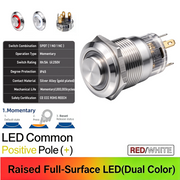 RW Common anode Momentary
