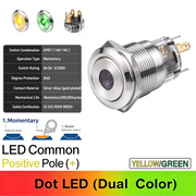 YG Common anode Momentary