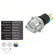 Blue 2-Positions DPDT Momentary