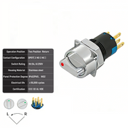 Red 2-Positions DPDT Momentary