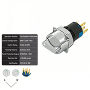 White 2-Positions DPDT Maintained