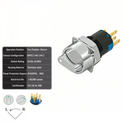 White 2-Positions DPDT Momentary