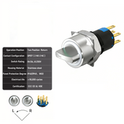 White 2-Positions DPDT Momentary