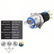 Blue 3-Positions DPDT Momentary