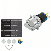 White 3-Positions DPDT Maintained