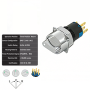 White 3-Positions DPDT Momentary