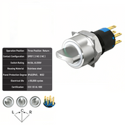 White 3-Positions DPDT Momentary