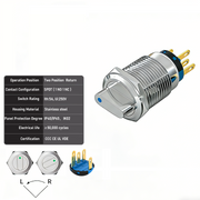 Blue 2-Positions SPDT Momentary