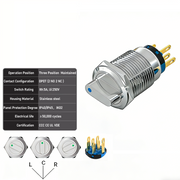 Blue 3-Positions DPDT Maintained