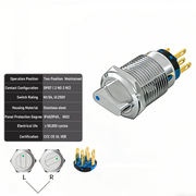 Blue 2-Positions DPDT Maintained
