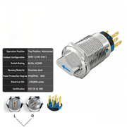 Blue 2-Positions DPDT Maintained