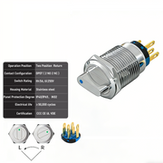 Blue 2-Positions DPDT Momentary