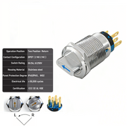 Blue 2-Positions DPDT Momentary